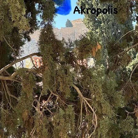 Plaka K15